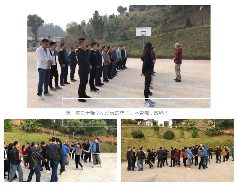 新西蘭智閣板材 新西蘭智閣板材