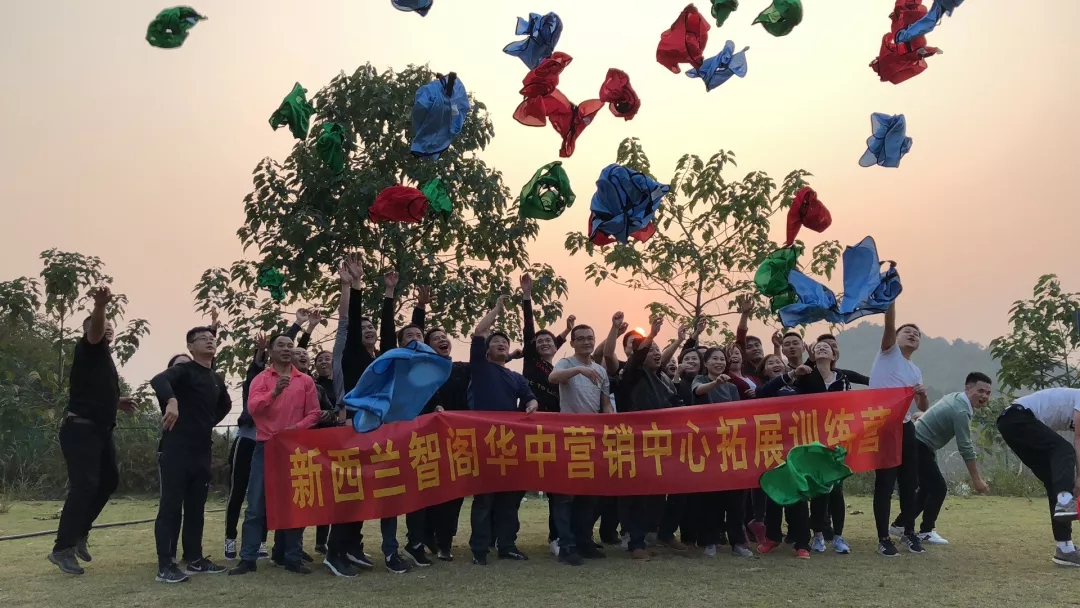 新西蘭智閣板材 新西蘭智閣板材